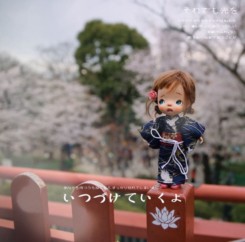 1/8 1/6 1/4 1/3 BJD Japanese k - Japanese Lifestyle Shoes avis et prix